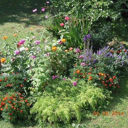 Holiday home Al Cascinale Lucca