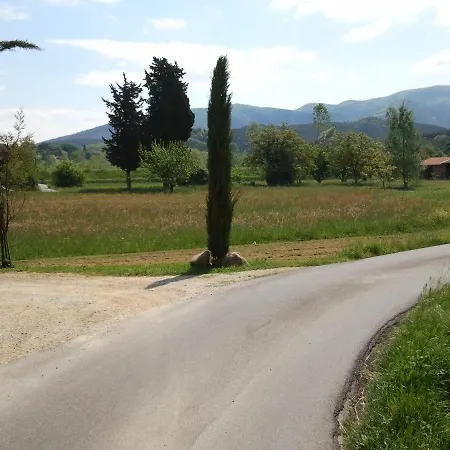 Al Cascinale Di Letizia *