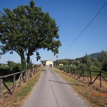 Al Cascinale Di Letizia * Lucca